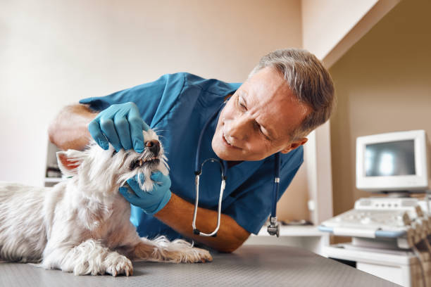 Best Dentist for Tooth Abscess  in Gordon, GA